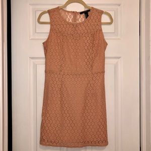 Forever 21 Lace Dress